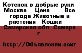 Котенок в добрые руки. Москва. › Цена ­ 5 - Все города Животные и растения » Кошки   . Самарская обл.,Самара г.